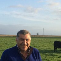 Walter Ayala (@ayalaw33) 's Twitter Profile Photo Walter Ayala (@ayalaw33) 's Twitter Profile Photo