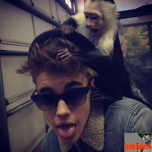 Never Say Never                                                                        Justin Drew Bieber