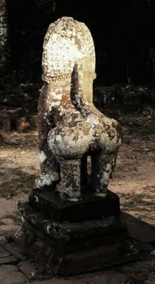 cyl_e's profile picture. 