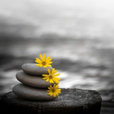 delenn21's profile picture. 