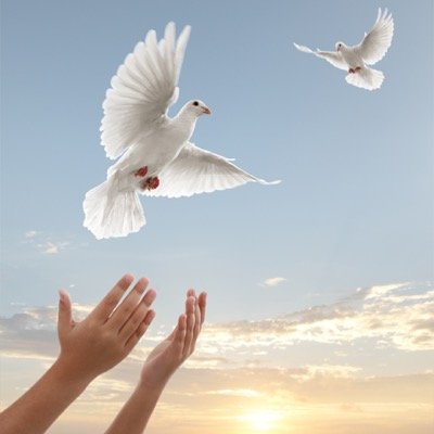yuosef_z Profile Picture