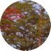 Forest Sounds Theatre (@forest_sounds) Twitter profile photo Forest Sounds Theatre (@forest_sounds) Twitter profile photo