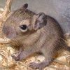 Счастье может быть полным только тогда, когда все вокруг тебя ощущают себя счастливыми.