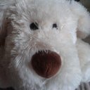 kate stanley - @KateeggKate - Twitter