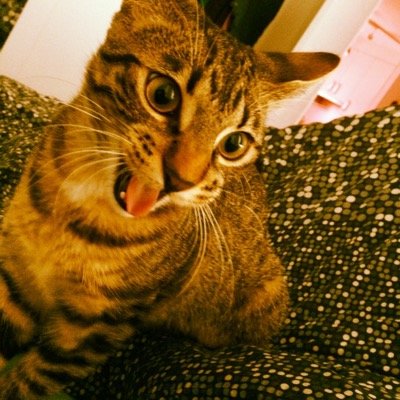 Silva_and_co's profile picture. 