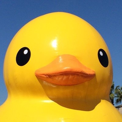 スカイドルフィン