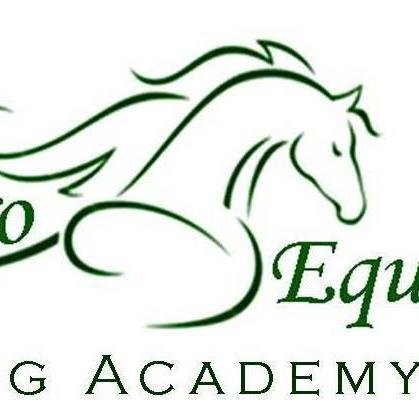 Vero Equine, located in Vero Beach, FL offers lessons, camps, boarding  and a bunch of fun. We take care of all your equine needs ~ For the love of the horse