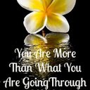 Pam Dyer - @Froggys34 - Twitter