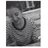 BelenMoscardo's profile image