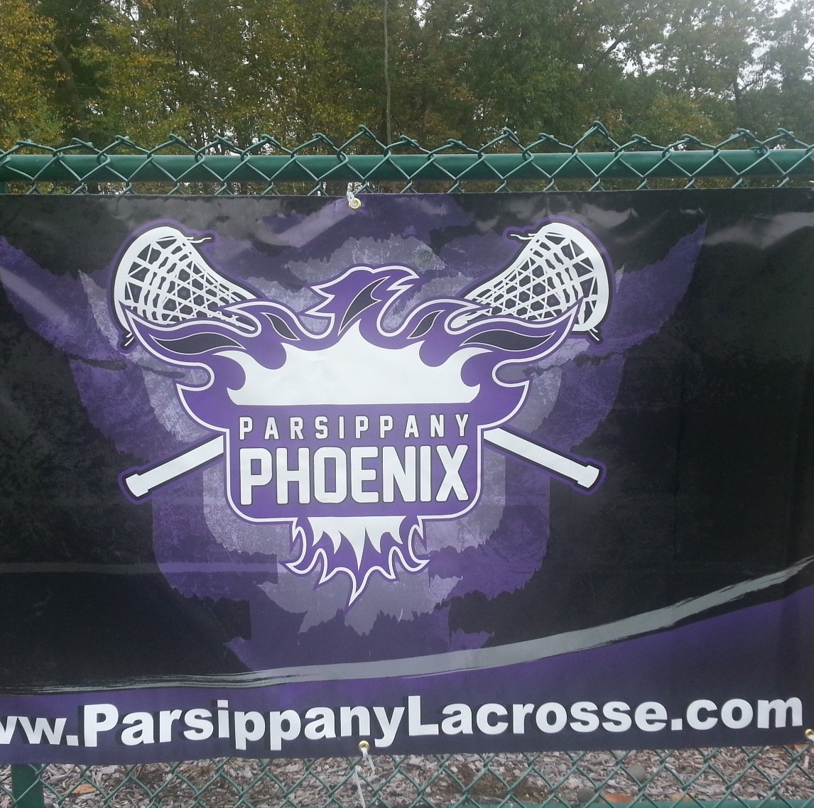 ParsipPhoenixLx's profile picture. 