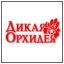 Правда преодолевает любые пространства и не может быть остановлена никакими межами.