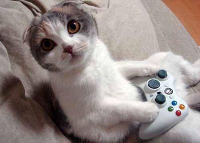 geek j adore les jeux vidéo est ma cheri louane