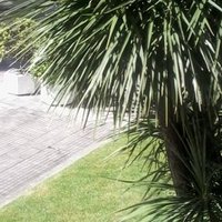 Pablo (@nubarfontan) 's Twitter Profile