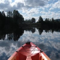 Imogen (@an_imo_gin) 's Twitter Profile