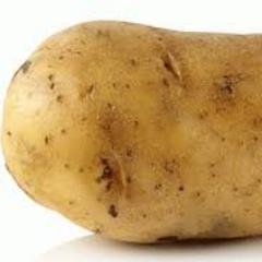 LookingAtCraps's profile picture. Potato