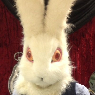うさぎ先生さんのプロフィール画像