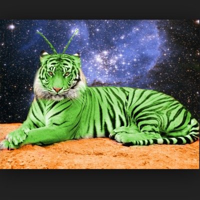 gorilla3546's profile picture. 