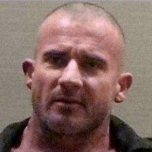 Your #1 Source for Everything Dominic Purcell. Twitter Account for Dominic Purcell Fansite. (This is Dom's fansite account,not Dominic himself. I'm not Dominic)