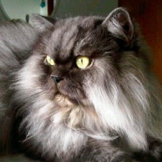 avra46's profile picture. 