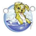 Lori Quick Bear  - @theshaggydogfl - Twitter