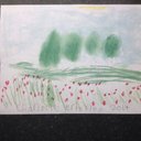 Jane Brierley - @BrierleyJane - Twitter