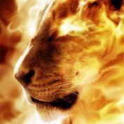 GodisCalling's profile picture. 