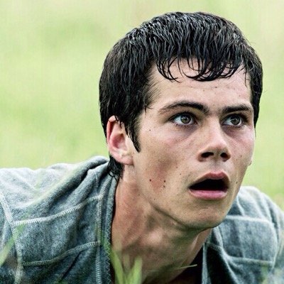 tumblrlifeasian's profile picture. hi