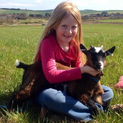 living in Aberdeenshire but home is Northumberland. we have a small herd of Pygmy Goats. Also Shetland Sheep and Arabian horses.