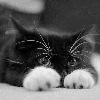 bkysnaya's profile picture. 