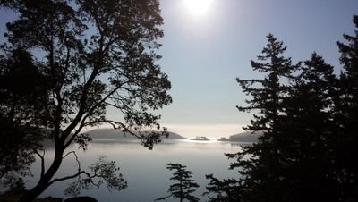 AsJulieCsIt's profile picture. We all have our own unique light to share with the world.  At least that is how I C it. :)