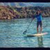 Toro Sup (@torosup) Twitter profile photo