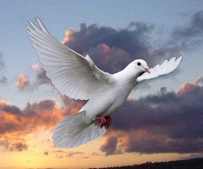 reed_mom's profile picture. 