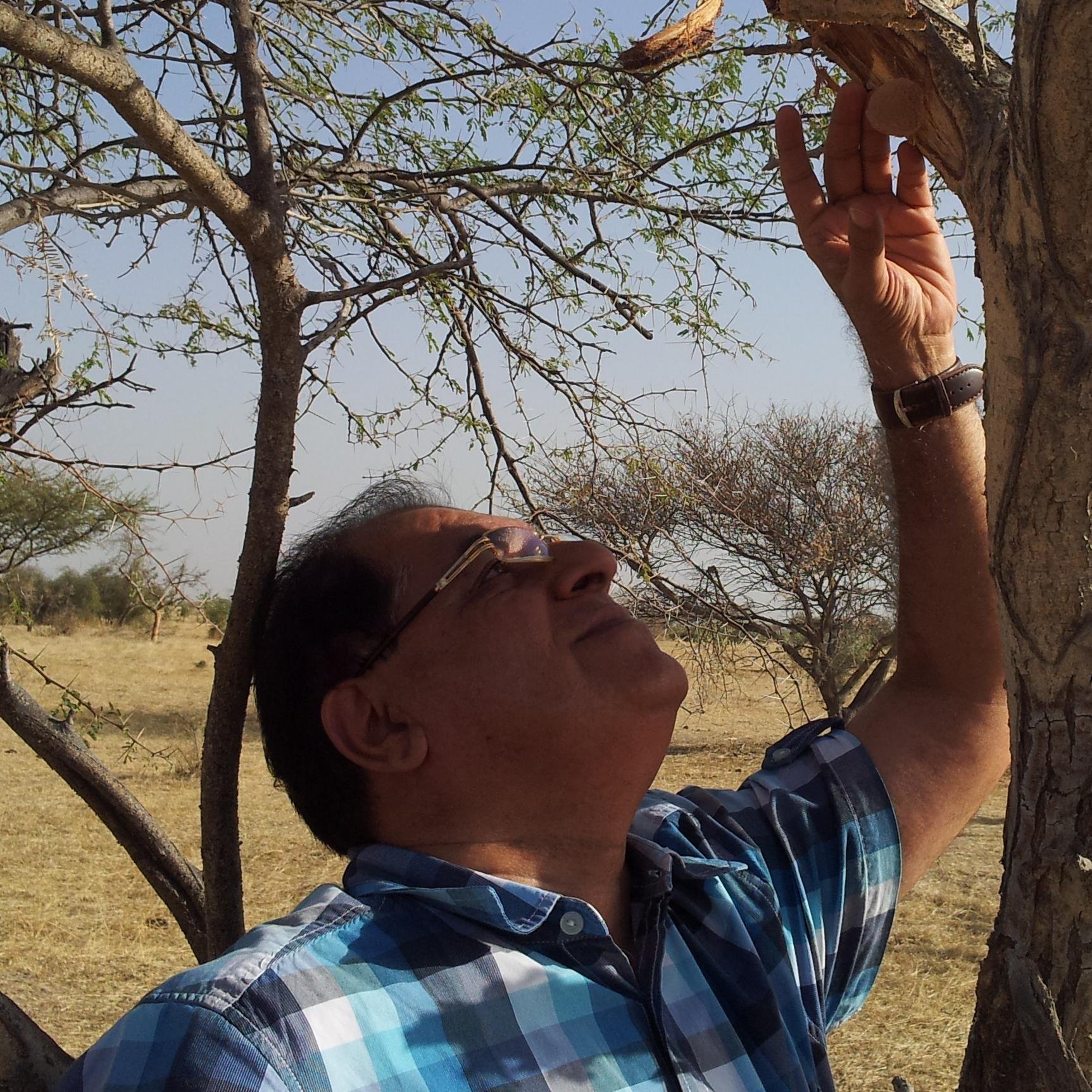 Gum Arabic - Human friendly Pre-Biotic Ancient Natural product. Tweets for information only & not medical or technical advise. RTs FAVs not endorsement..
