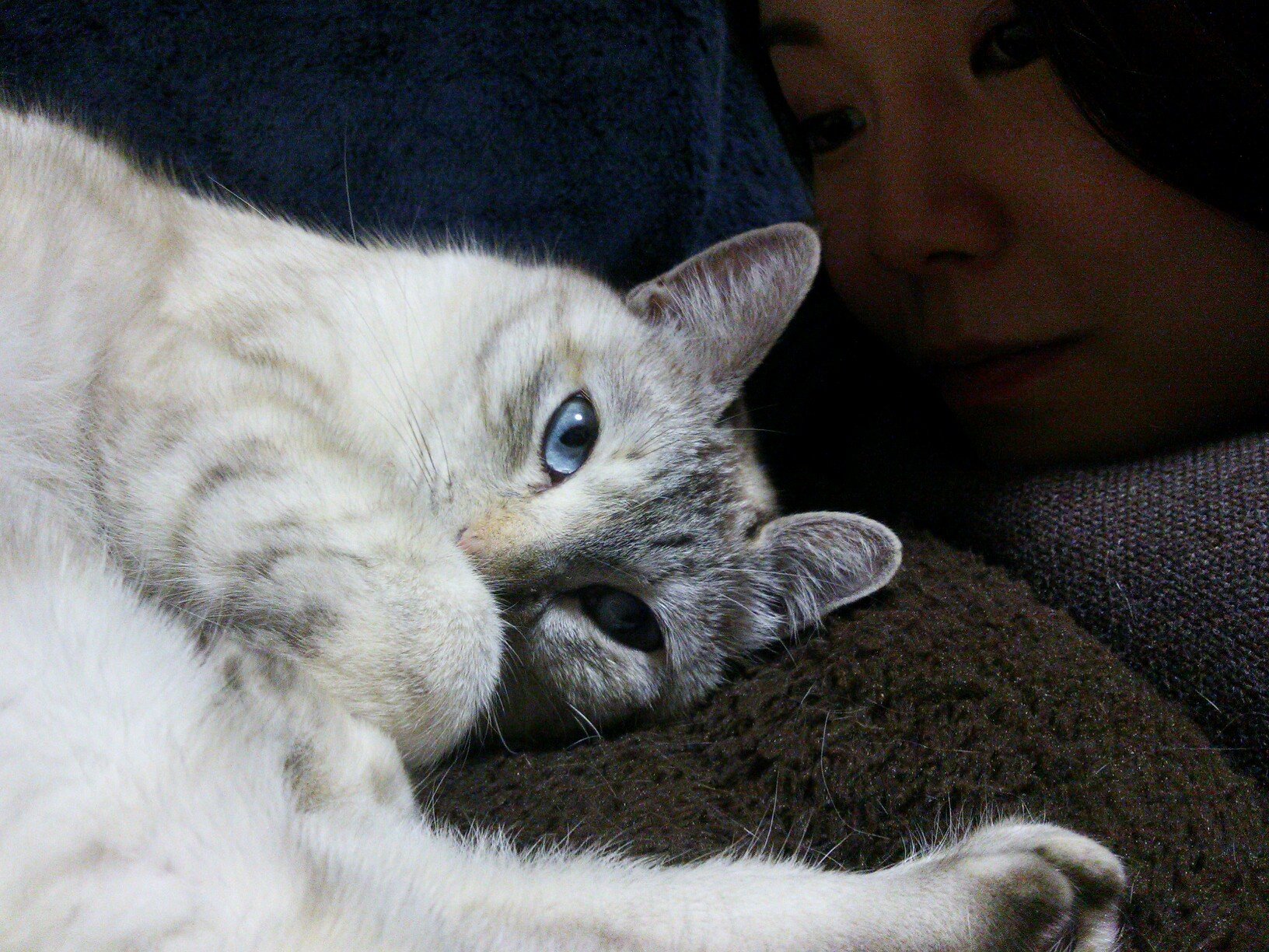 20↑ 編集／鹿島アントラーズ／ねこ／RT多め、雑多。影日が今日も尊いのでそろそろHQ垢分けたい👑🍊