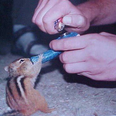 I dont care who you are. I just like to share the moment while high :)