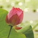 Anna Sica - @annasica39 - Twitter