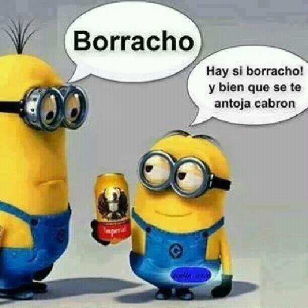 sebasjsjr's profile picture. 