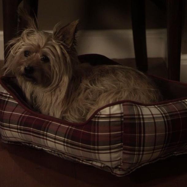 JoFridayGoogles's profile picture. 