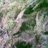 ORodriguez_Leon's profile image