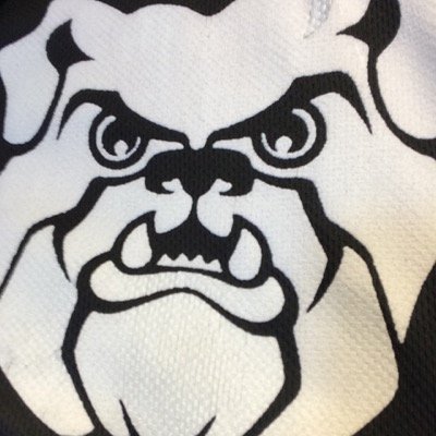 girls fastpitch softball