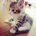 Ece Çalışkan paris (@0828ece) Twitter
