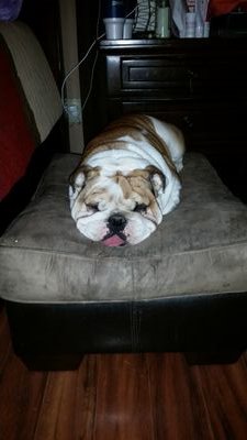 6dragonflies's profile picture. 