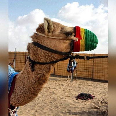 به ارحِّب لي يتابع.: واثني التراحيب و اشكره.: ولي يشوف و ما يتابع.: كل حد له ذوقه و اعذره...