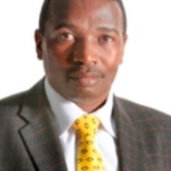 Professor, University of Johannesburg, Faculty of Engineering &  Built Environment. Serve in various Boards, Gautrain Management Agency, Ports Regulator of SA.