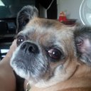 Ann Patrick - @apatrick1009 - Twitter