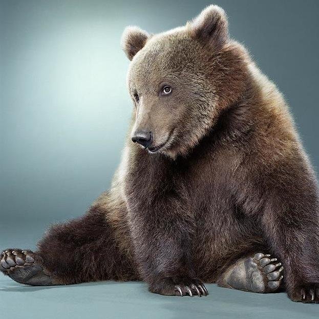 #ретвит,#фоловинг, #Followback, #читаю, полностью 100% взаимный фоловинг