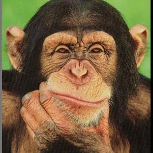 ukrrize's profile picture. 