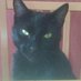 Alfie - missing (@slavetodreamies) Twitter profile photo
