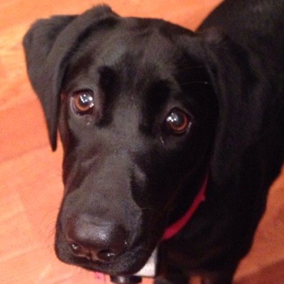 jeffreybaron3's profile picture. 