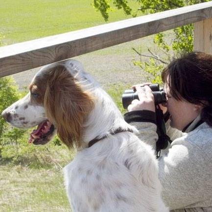 EvaOling's profile picture. Medelålders fågelspanande trädgårdsgalen ironisk kvinna som har en envis tax.